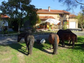 Gite Au Delà Des Cimes - Villeneuve-de-Rivière - 3