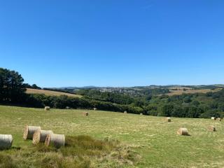 Cornish country house by the coast near Fowey - Lanteglos - 6