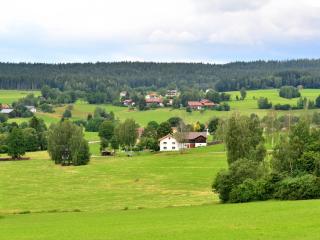 Waldlerhaus von 1848 TOP Renoviert - 4