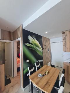 Butterfly Apartments - Lezha - 4