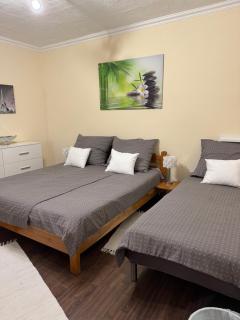 Szárszó Apartment with 3 rooms and PRIVATE BEACH, PRIVATE PARKING - Balatonszárszó - 4