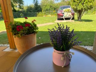 Szárszó Apartment with 3 rooms and PRIVATE BEACH, PRIVATE PARKING - Balatonszárszó - 8