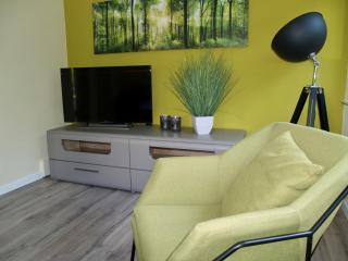 Forest-Fringed Comfort - 1