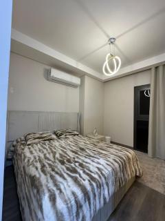 zed west - Sheikh Zayed - 6