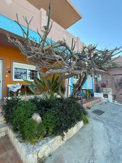 Modern 1-bedroom with BBQ & Roof Garden near Beach - 9
