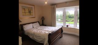 Hybrasil - Westport - 1