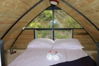 Lakeside Glamping with View Fire Pit Hammock - Guarne - 7