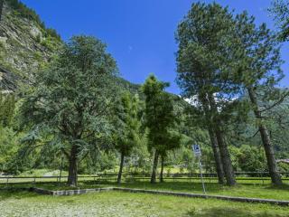 Apartment Leonardi Terrace by Interhome - 5