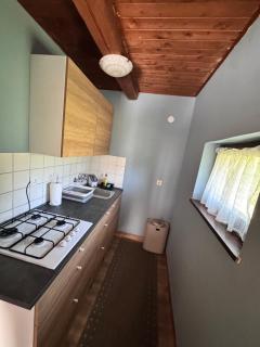 Chalet SS Pohorje - 7