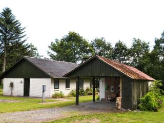 Holiday Home Florinka - 31km from the sea by Interhome - Toftlund - 9