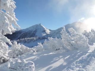 Appartement Bergblick - Schladming - 3