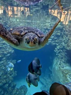 Ferienidyll an der Recknitz - 8