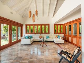 Majestic 5BR Villa with maid & jacuzzi in Cap Cana - 1