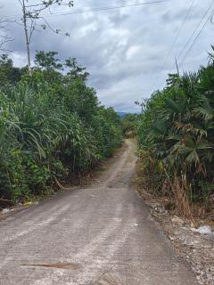Finca Inti Wasi - Tena - 1
