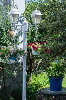 Elena's Green House - Nea Iraklitsa - 1