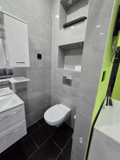 White House Apartman Miskolc, Green Room - Miskolc - 1