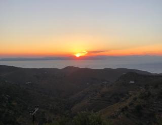 Pasithea Sunset Kea - 8