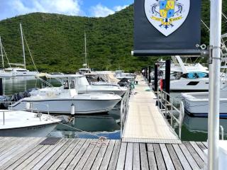 Superbe appartement 2 chambres à Anse Marcel, 400m des plages, activités nautiques incluses - FR-1-734-44 - 5