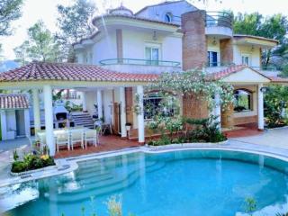 Luxury villa with swimming pool in the forest - 9