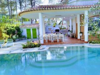 Luxury villa with swimming pool in the forest - 3