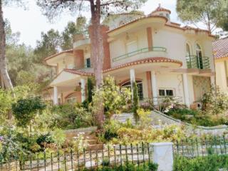Luxury villa with swimming pool in the forest - 1