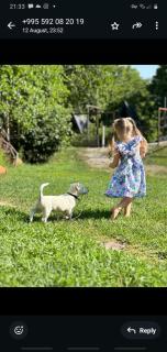 Guest House Aleksandre - 3