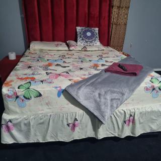 Yellow Stars Guesthouse - Johannesbourg - 7