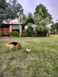 Moondance Hostel & Garden Restaurant - 4