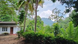 County House, Kithulgala - 0