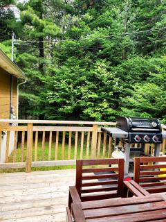 Chalet familial, très bien situé - 1