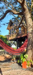 Casa na arvore Dream tree house - 0