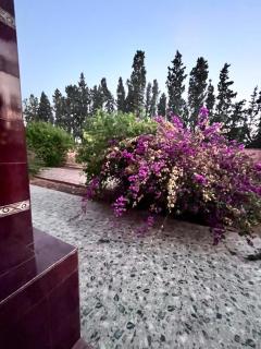 Maison de vacances - Nador - 1
