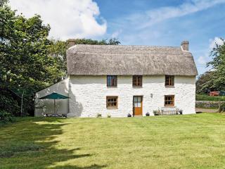 Thatch Cottage - Saint Hilary - 0