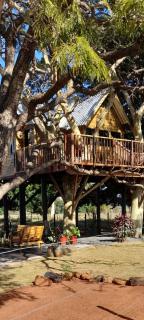 Casa na arvore Dream tree house - Santa Clara dʼOeste - 8