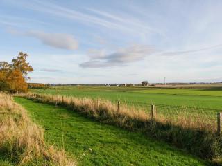 Bumblebee Cabin - Uk45403 - Forfar - 1