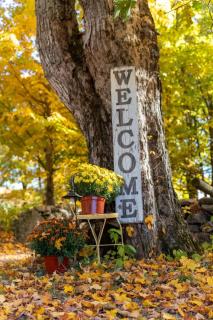 Sunset Tiny Retreat - A Peaceful Getaway - 1