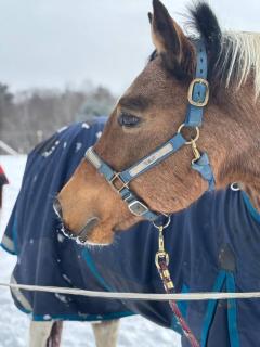 Winterberry Farmhouse - A Cozy New England Stay - 2