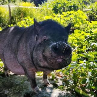 Winterberry Farmhouse - A Cozy New England Stay - 3