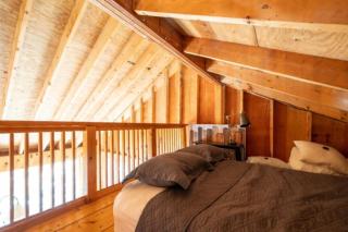 Bear Island Getaway - Relax, Explore, Reconnect - 2