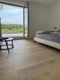 Luxus Appartement- Waldheim - Rote Warte - 2