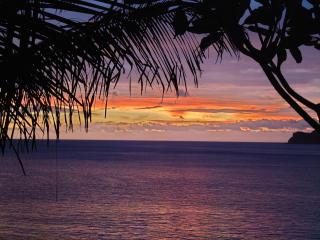 Monkey House Hostel - 7