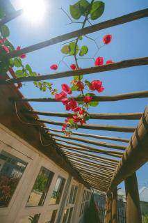 VIC Residence - Pemba - 1