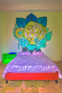 La casa del JAGUAR - 1