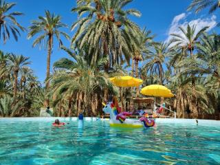 Coco Oasis Resort Camping Maison d hotes - 9