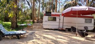 Coco Oasis Resort Camping Maison d hotes - 7
