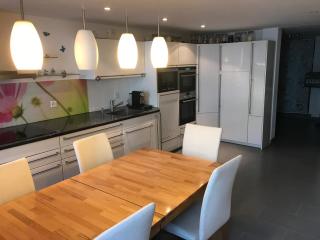 Suite mit schöne Küche in Zentral schüpfheim LU - Schüpfheim - 0