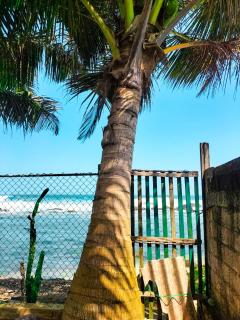 Sea Side Nest - Dondra West - 2