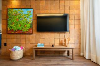 Apartamento Luxo 1 Quarto no Centro de Porto - Praça 3 - 9