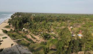 campement les baobabs Abene plage - Abene - 3