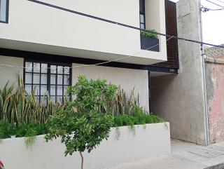 Serenity Moll - Guadalajara - 7